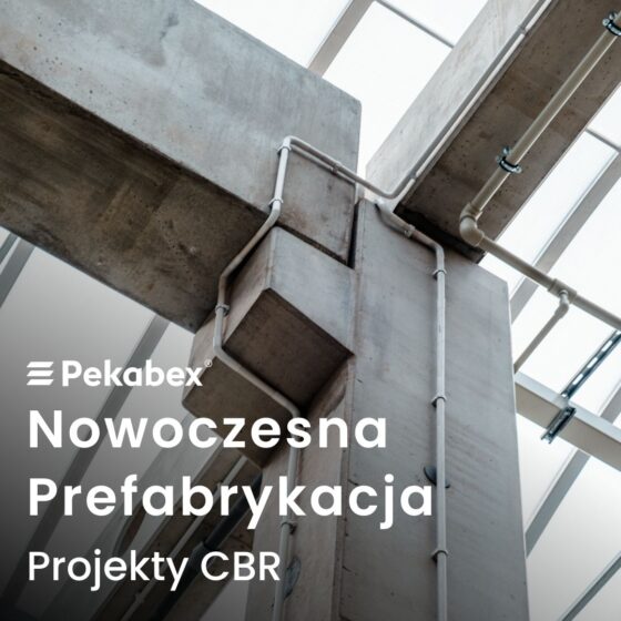 nowoczesna_prefabrykacja