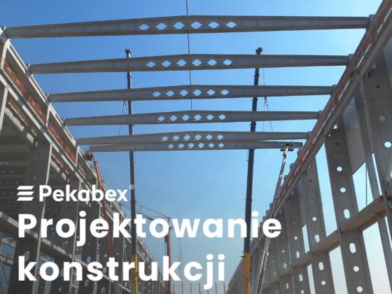 projektowanie_konstrukcji_baltic