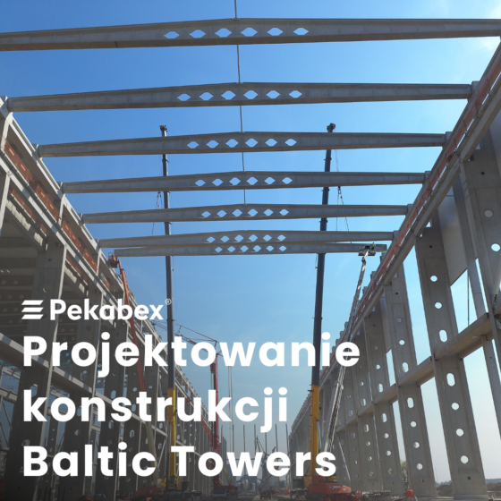 projektowanie_konstrukcji_baltic